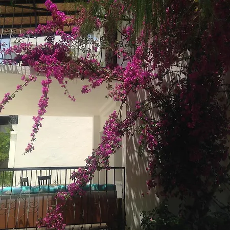 Apartmanhotel New Mandarin Bitez