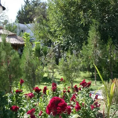 Lejlighedshotel New Mandarin *