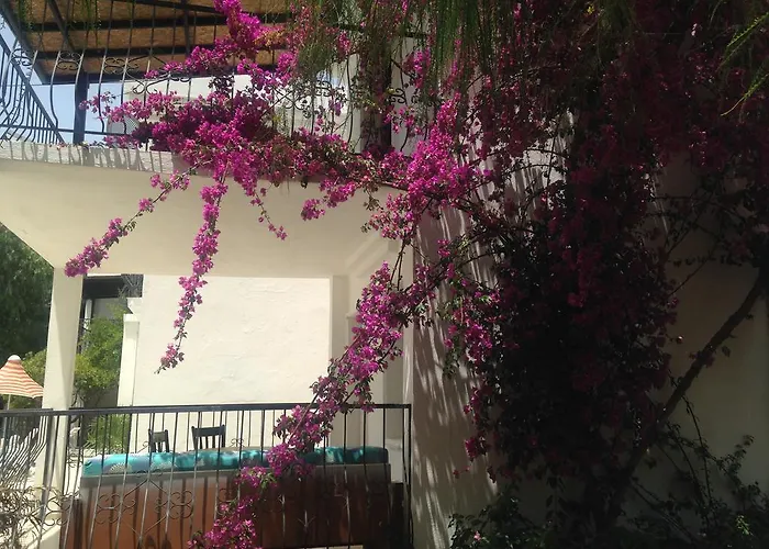 Lejlighedshotel New Mandarin Bitez